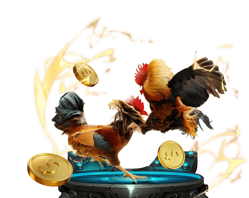 Giá trị và cam kết của S666